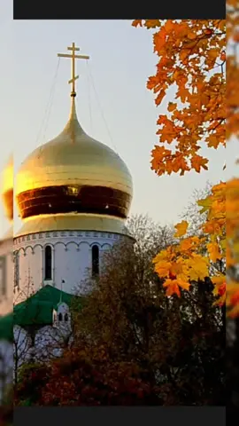 #день памятиДмитрияСолунского#ЧиткодАльфаКапитал #хочувректикток