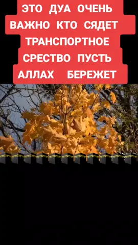 Пусть Аллах бережёт вас кто за рулём кто сядет транспортное средство Амин☝️