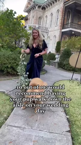 #dogsofttiktok #weddingtiktok #weddingpuppy #weddingphotographer #goldenretrieverlife #goldenretrieverlife #puppylove #marriedaf21 #covidcouple