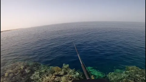 GT Shore Jigging Game 🐟🎣 #fishing #casting #fish #sports #ksa #SaudiArabia #jeddah #fyp #foryou #pourtoi #gt #fy #lures #tuna #gt #lure #redsea