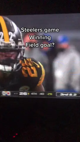 Pittsburgh Steelers hit a possible game-winning field goal I don’t know anymore