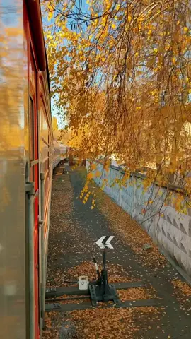 #ржд #путешествие #проводник #поезд #эстетика #фпк #осень #белгород