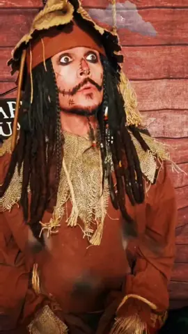 If I only had a brain. #Scarecrow #IfIOnlyHadABrain #CaptainJackSparrow #JackSparrow #JohnnyDepp
