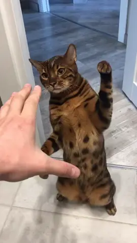 Всё стабильно!Он по-прежнему нас лупит 🥊