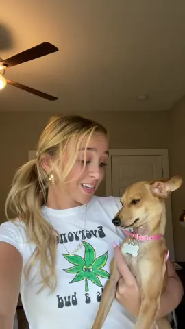 Everyone say hello to Bitsy 😙