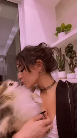 #stitch with @dogvsdogg why she always gotta be in a mood