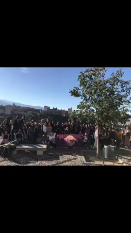 Andalucía con Erasmus Life Valencia #erasmuslifevalencia #erasmuslife #andalucia #sevilla #granada #cordoba #malaga