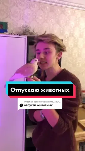 Что-то не получилось..