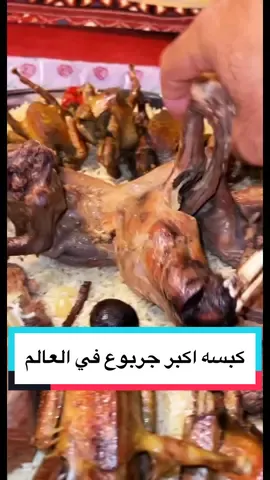 كبسة اكبر جربوع في العالم