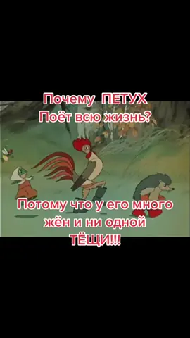 #петух