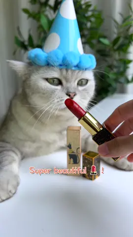 The cat made a lipstick for the owner.#pets #foodtiktok #kittygod_cn #cookingcat
