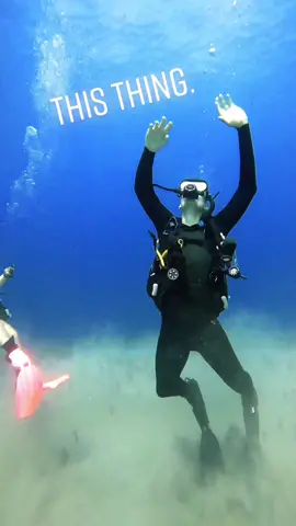 How’d we do? 🧜🏻‍♀️🦈.    #KatyPerry #Fail #Couple #coupleschallenge #fypシ #Dance #Dive #Scuba #trending #couplestiktok #Married #Silly #Thisthing