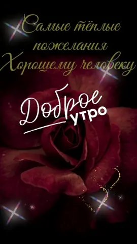 Всем доброе утро..