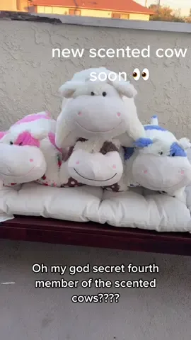 New scented cow coming soon ‼️‼️‼️ #originalpillowpets #pillowpets #strawberrycow #blueberrycow #misosoup #chocolatecow