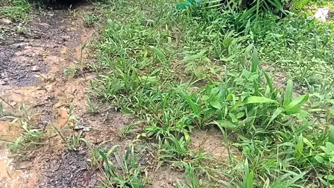 awali pagi dengan senyuman 😁