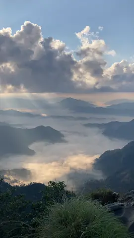 ออกไปสัมผัสกับธรรมชาติให้ร่างกายหายเหนื่อยล้า #ภูชี้ฟ้า #อากาศ #ความสดชื่น  #ออกเดินทาง #หน้าหนาว