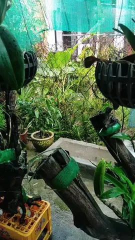 Đang buồn gặp trời mưa nửa