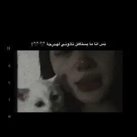#منشن؟ #fypシ #عبارات_حب #تصميمي #amani_amona #Hevin_2005