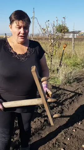 #приспособление  для посадки #чеснока#дачаорогод #козаисемькозлят