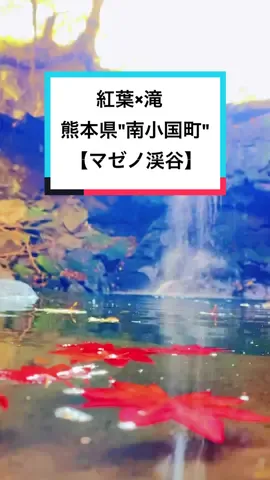 熊本県【マゼノ渓谷】の紅葉と滝がベストマッチすぎた…#TikTok教室 #熊本 #阿蘇 #南小国町 #マゼノ渓谷 #ryuprotravel