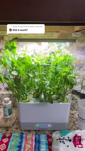Reply to @bohomomma09 #aerogarden #indoorgarden #herbs