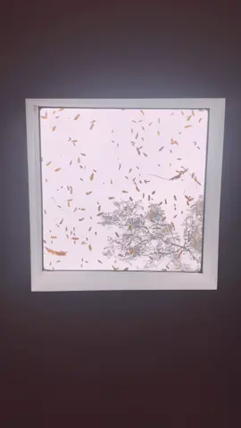 #cozyathome #hygge #newbook #BookTok #rainyday #witchyvibes #oldhouse #myhome #indoorplants #doggo #maximalistdecor