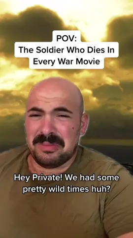 Happy Vet Day! #veteransday #fyp #warmovies #pov #viral