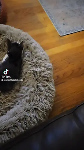 I don't get it #fyp #viral