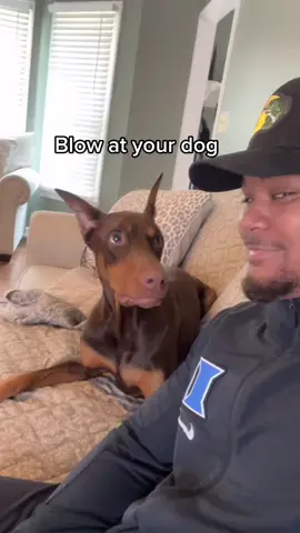 Omgg! his face 💀 Wait for it …😂 #fyp#viral#knox