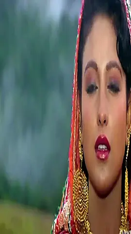 Be Irada Nazar Mil Gayi To | Salman Khan | Chandni | Sanam Bewafa | Hindi Song