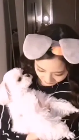 Jisoo funny moment 😂😂 #jisoo #kimjisoo #jisookim #jisooblackpink #sooyaaa_ #blackpink #chichu #金智秀 #kpop #idol #korea #fyp #foryou