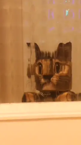 Minecraft cat minecraft cat #fyp #foryoupage #Minecraft #pixelart #cat