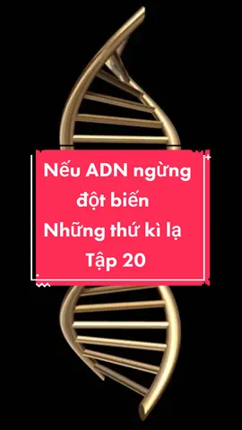 Sẽ không còn tiến hóa😱#LearnOnTikTok #hoccungtiktok #vulaci #edutaco #odsidechannel