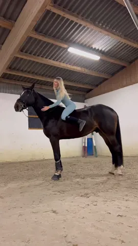 The coolest 3yo around 😎🖤 IG:annchen.augustine #fy #foryou #equestrian