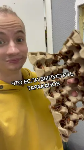 Что будет если их выпустить😱