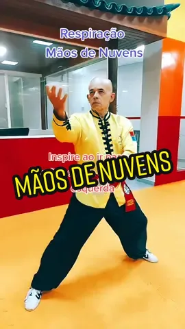 TSKF Kung Fu #tskf #kungfu #wushu #louvaadeus #prayingmantis  #artesmarciais #shaolin #atividadefisica #saude #respiracao