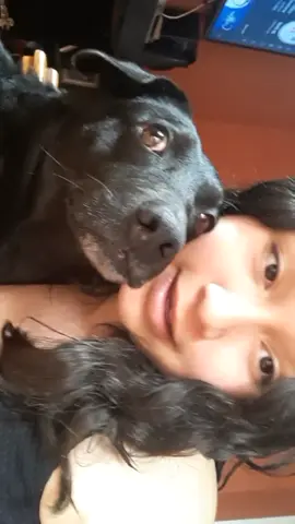 lindo te amoo <3 #meuamor #foryou #fy #doguinho