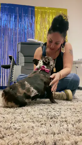 Dog kisses! But don’t actually lick me! 🤣#frenchiepuppy