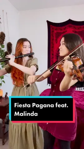 Duet with my amazing friend @malindamusic! Who recognizes this song? #FiestaPagana #MagoDeOz #Malinda #violin #flute #duet