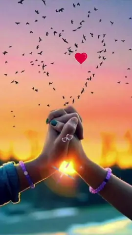 اسراء ❤️ملاك