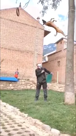 #stitch with @charniece0 Time to take flight ✈️ 😅 wait for it… 💀 #fyp#viral#knox