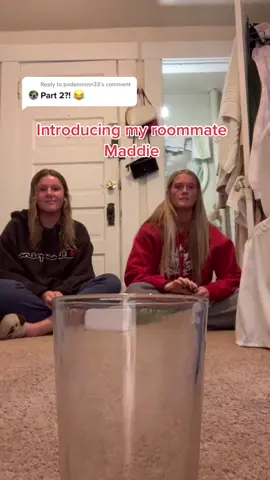 Reply to @padennnnn33 we’re in a super silly mood #penandcupchallenge @maddiehughess_ get to licking the toilet.