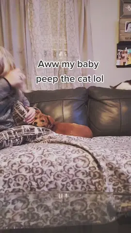 omgodh lol #scardeycat #and #dogdogsoftiktok #fyp #ROMWEnextgen #puppylove🐶