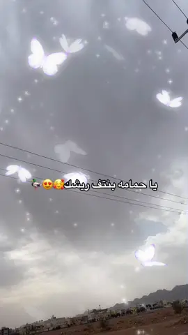 ما خرب غبار الوكاله الا الحمامه 💔 #الدمج#SHEINeid#HONOR50duet#LiveForTheChallenge#CapCut#لايك