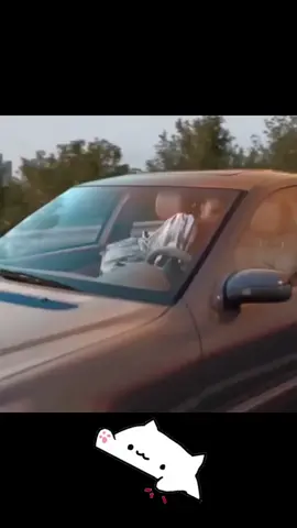 #всемлюбви❤️