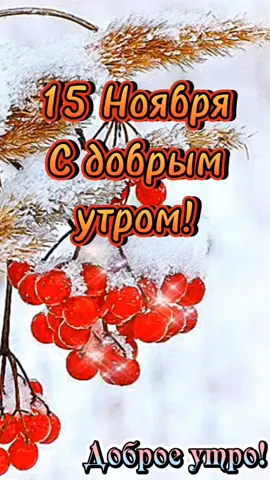 С добрым утром друзья ☕❄️❄️❄️#15ноября #доброе_утро #сдобрымутром #Garnierперемотка