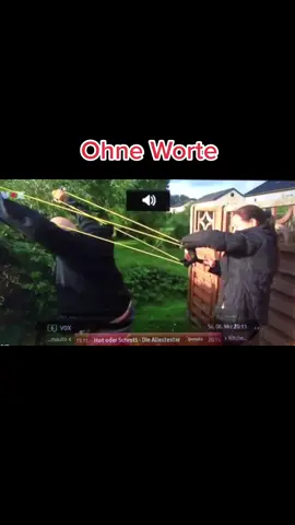 #fy #fyp #deffinitiv #detlefsteves #BOSSMoves