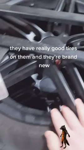 ayo peep the dog and my foot 😳 (dog's name is Artie and she's pretty good)#fyp #volvos60r #atacama #spaceball #snow #dog