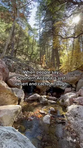 To everyone who says Northern AZ is the only part of AZ that gets fall and claims that there’s no water in southern AZ 🤪 #azcrew #azcheck #hikearizona #arizonahiking #arizonacheck #arizonahype