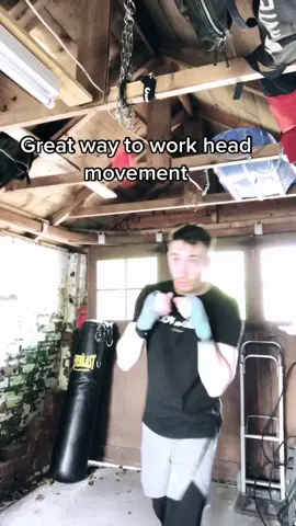 Using reflex ball to improve head movement. @boxraw #boxingtraining #boxing #fyp #boxinglife #boxraw